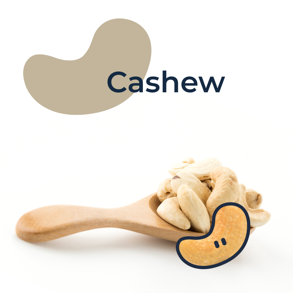 Cashew bundel