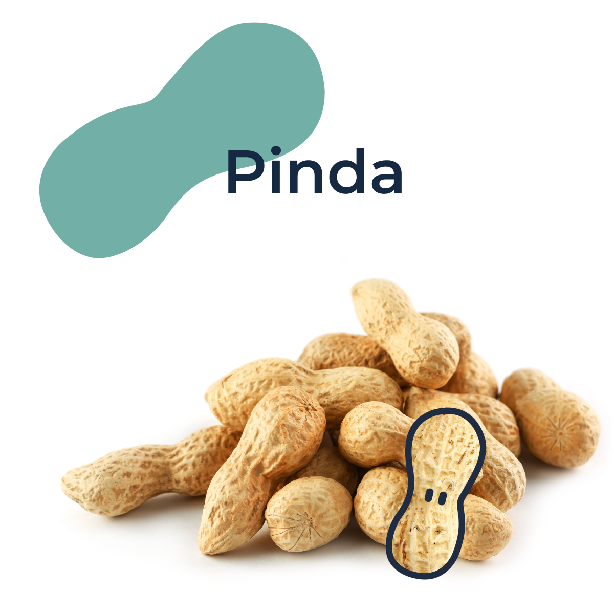 Peanut bundle